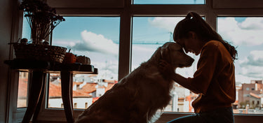 The Impact of the Pandemic on the Pet Health Industry