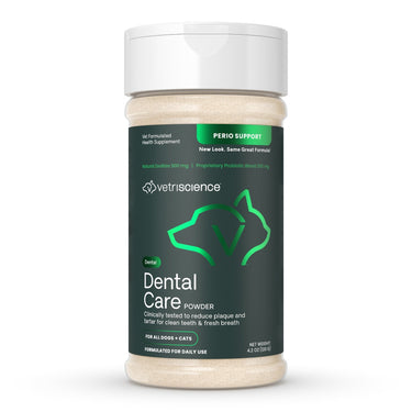 Dental Care